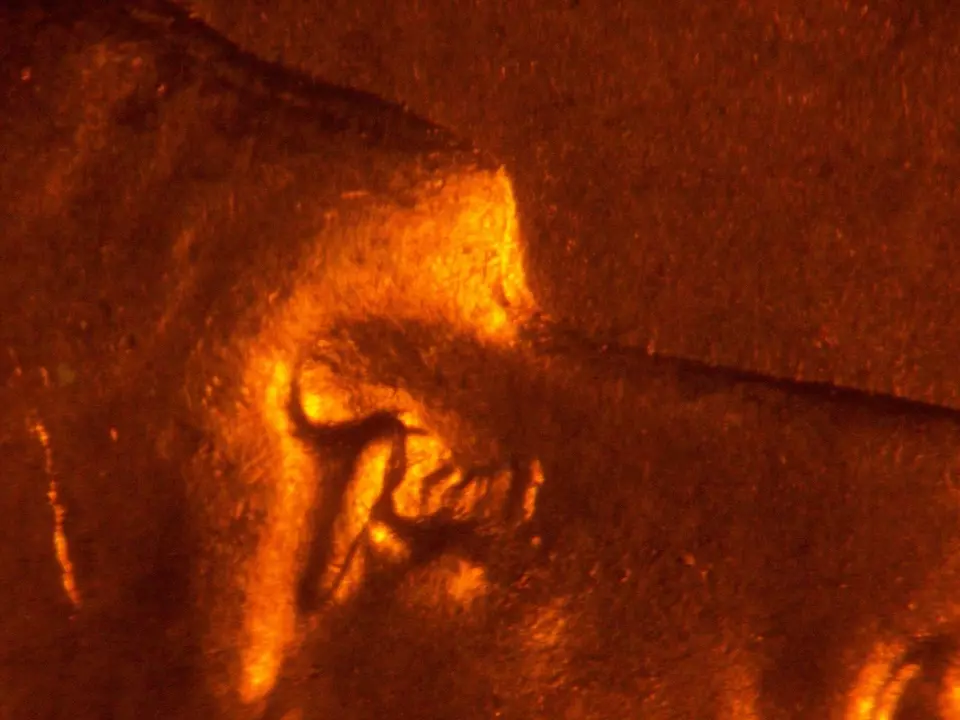 1945-D-Lincoln-Wheat-Cent-DDO-Eye-Or-Six-Die-Gouges-?